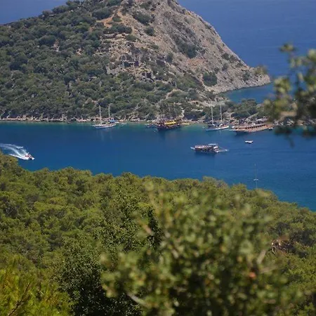 Valley 2* 厄吕代尼兹